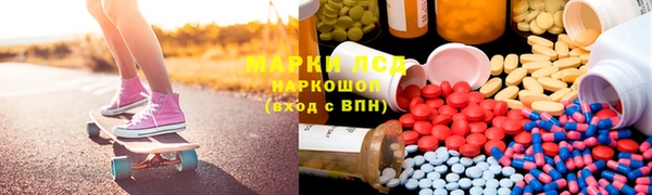 гидра Аркадак