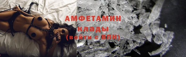 гидра Аркадак