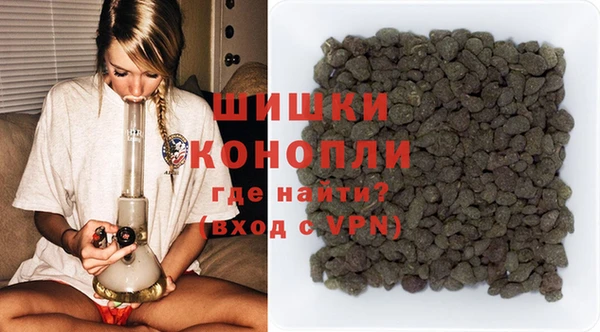 шишки Армянск