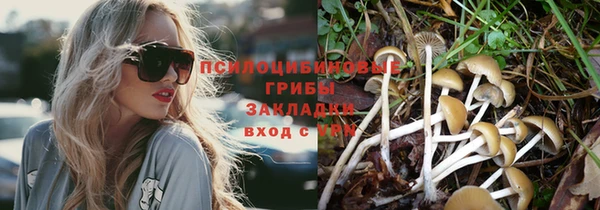 гидра Аркадак