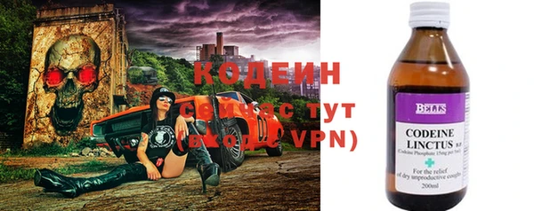 шишки Армянск