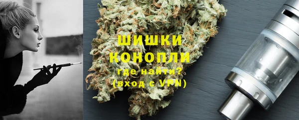 гидра Аркадак