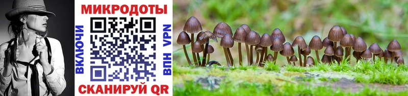 Галлюциногенные грибы Magic Shrooms  shop телеграм  мега как войти  Лукоянов  наркотики 